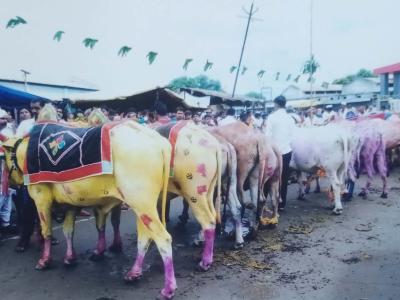 Whatsapp Image 2026 03 23 At 4.01.42 Pm