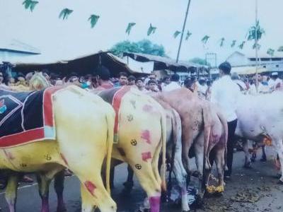 मोठा पोळा