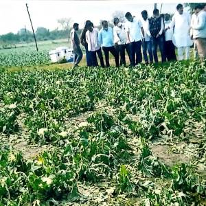 WhatsApp_Image_2026-03-23_at_4.00.59_PM_original